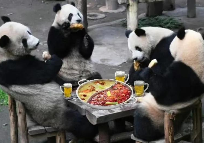 使用分享“天天重庆麻将怎么买挂!详细开挂教程 使用分享“天天重庆麻将怎么买挂!详细开挂教程