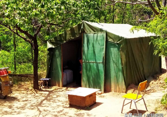 我 来 教 教 大 家 恵 众 输 赢 规 律 ( 确 实 真 的 有 挂 )